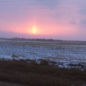 Meet your Posher, Kip